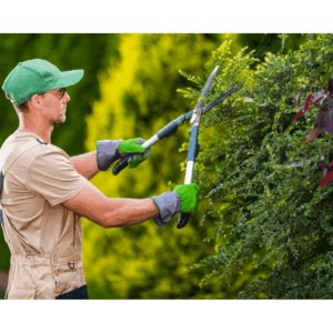 Bantu Home - Jardinage Régulier